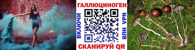 Псилоцибиновые грибы прущие грибы  Курильск 